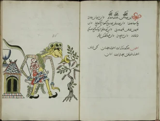 Gurkmeja Java, MS 41 sid. 52, bild 26, 1830